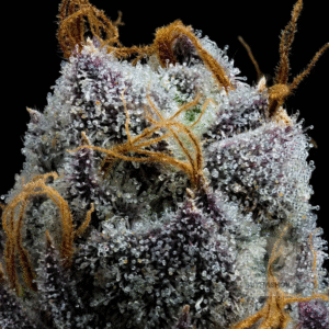 white runtz seeds buy hash oil.